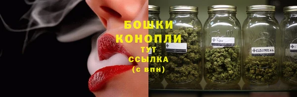 ГАЛЛЮЦИНОГЕННЫЕ ГРИБЫ Бронницы